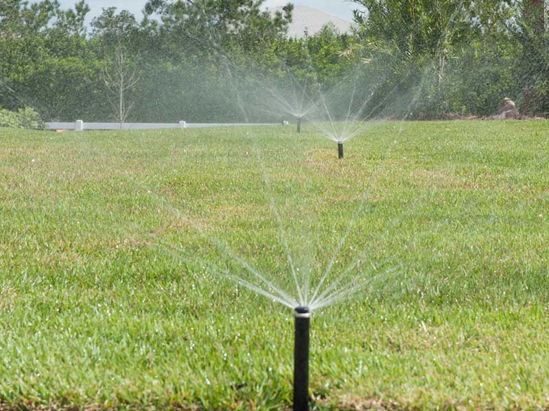 Efficient irrigation in Ocala Fl.