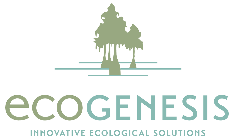 EcoGenesis
