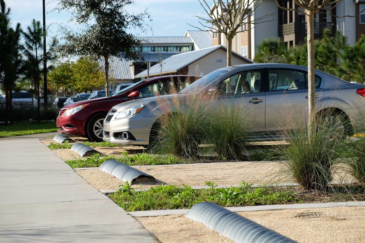 Crushed shell defined with concrete curbs creates a LID system where water can seep into the permeable parking areas. Planting strips with native ground cover separate the parking spaces and expand the permeable zone.