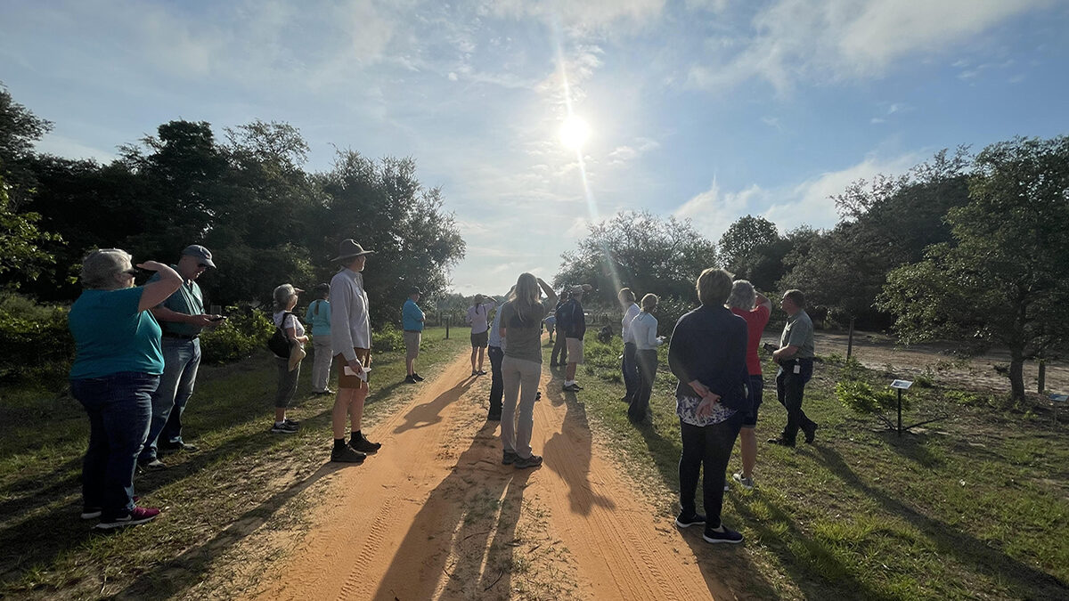 OUTSIDE Collab: The Florida Scrub-Jay Trail