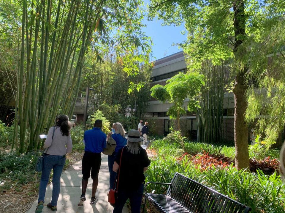 OUTSIDE 2021 tour group exploring the bamboo garden at UNF.